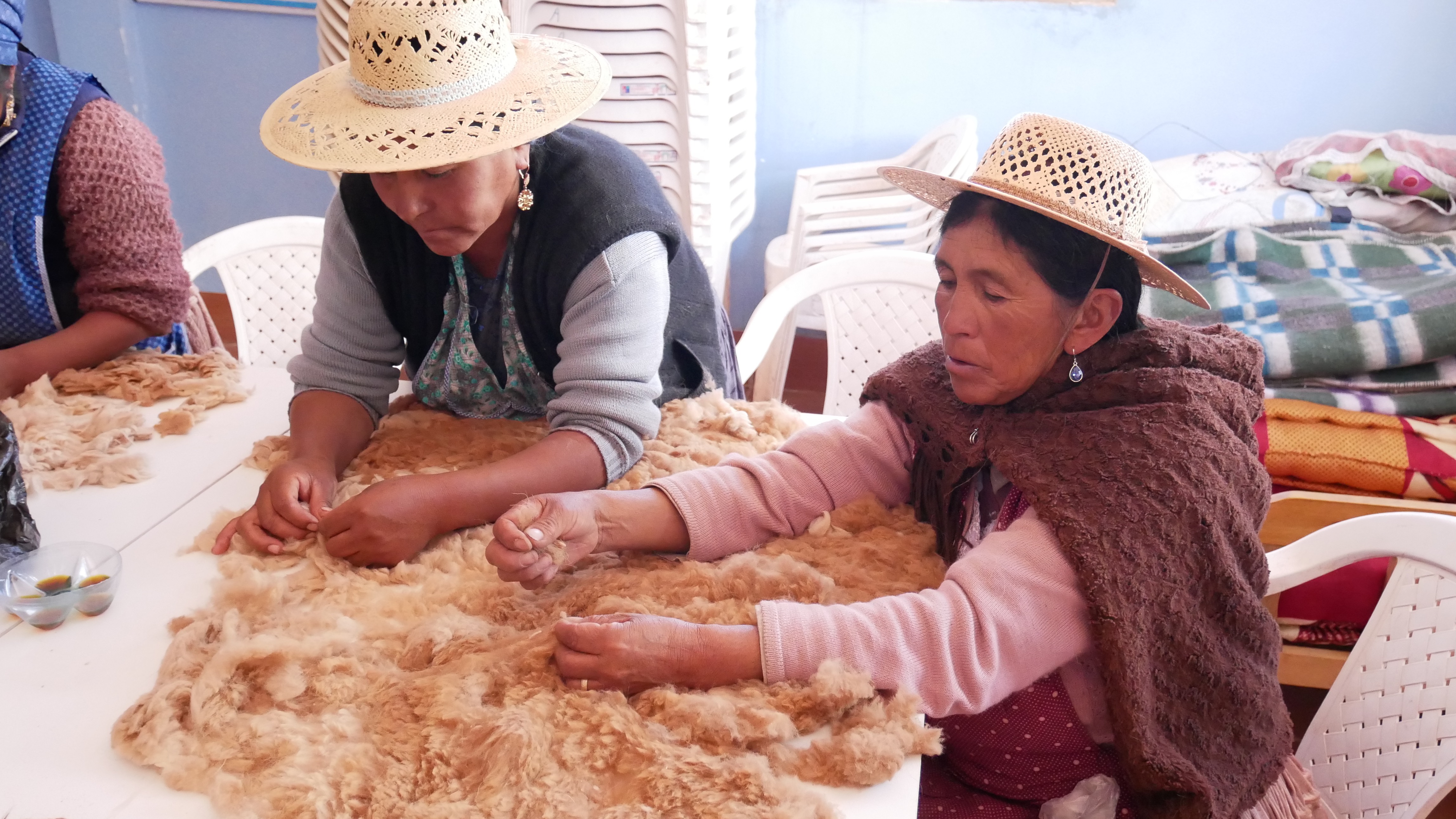 Frauen bearbeiten Vicuña-Wolle