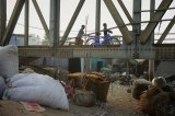 141207_kamrangichar_0371