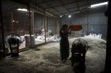 141210_kamrangichar_2_0024