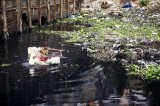 141127_sadarghat_0265